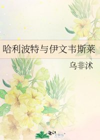 《哈利波特与伊文韦斯莱》