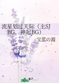 《流星划过天际(主SJBG、神起BG)》