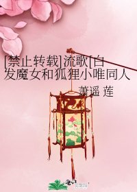 [禁止转载]流歌[白发魔女和狐狸小唯同人]
