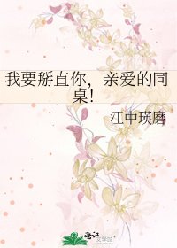 《我要掰直你,亲爱的同桌!》