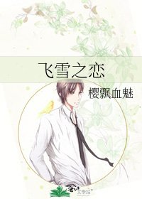 《飞雪之恋》