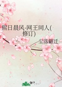 《熙日晨风-网王同人(修订)》