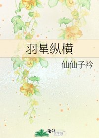 《羽星纵横》