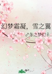 《幻梦霜凝,雪之翼》
