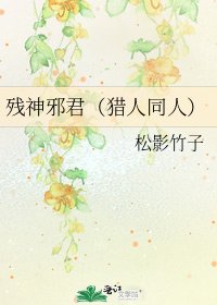 《残神邪君(猎人同人)》