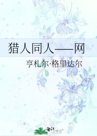 《猎人同人——网》