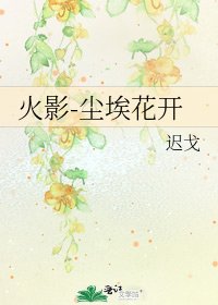 《火影-尘埃花开》