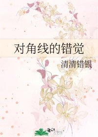 《对角线的错觉》