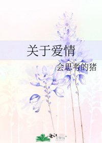 《关于爱情》