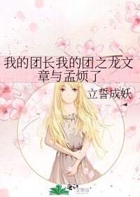 《我的团长我的团之龙文章与孟烦了》
