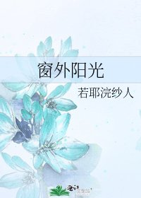 《窗外阳光》