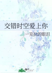 《交错时空爱上你》