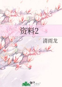 《资料2》