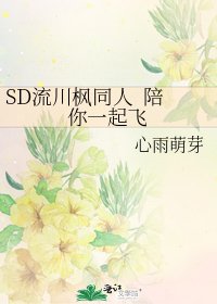 《SD流川枫同人 陪你一起飞》