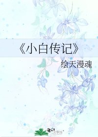 小白传记