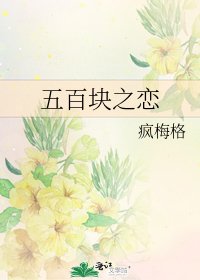 《五百块之恋》