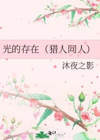 《光的存在(猎人同人)》