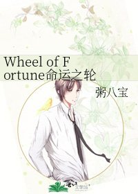 《Wheel of Fortune命运之轮》