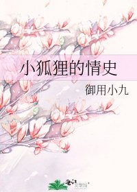 小狐狸的情史
