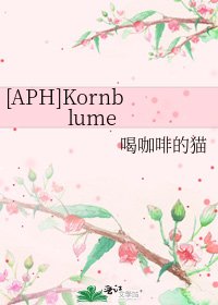 [APH]Kornblume