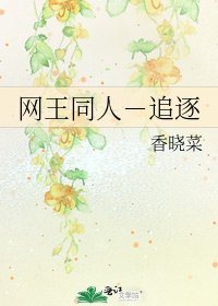 《网王同人-追逐》