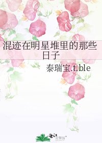 混迹在明星堆里的那些日子