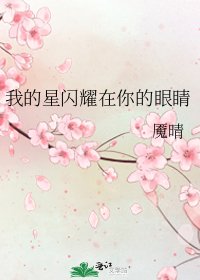 《我的星闪耀在你的眼睛》
