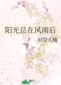 《阳光总在风雨后》