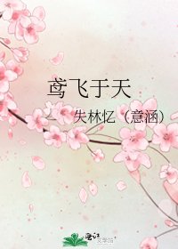 《鸢飞于天》