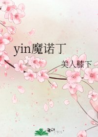 《yin魔诺丁》
