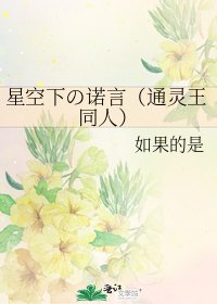 《星空下の诺言(通灵王同人)》