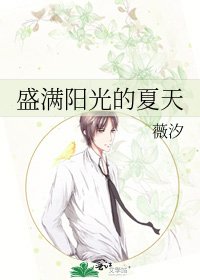 盛满阳光的夏天