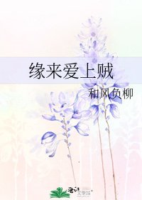 《缘来爱上贼》