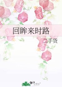 回眸来时路