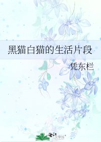 《黑猫白猫的生活片段》