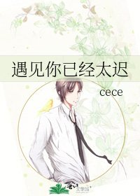 《遇见你已经太迟》
