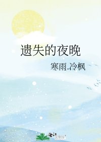 《遗失的夜晚》