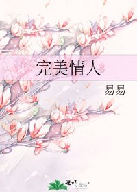 《完美情人》