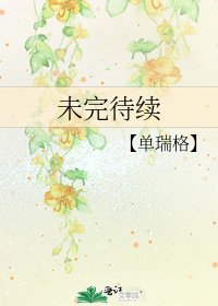 未完待续
