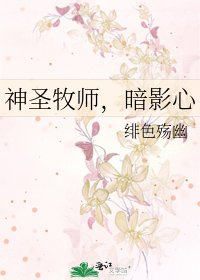 神圣牧师,暗影心