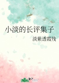 《小淡的畅评集子》