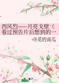 《西风烈——月亮戈壁(看过预告片后想到的一个故事)》