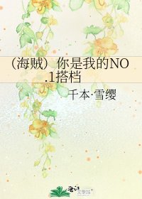 《(海贼)你是我的NO.1搭档》