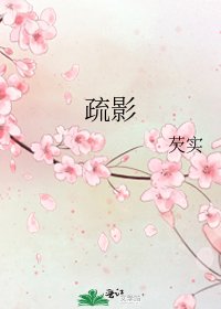 《疏影》
