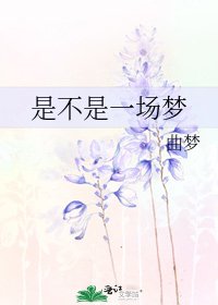《是不是一场梦》
