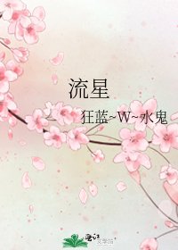 《流星》