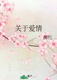 《关于爱情》