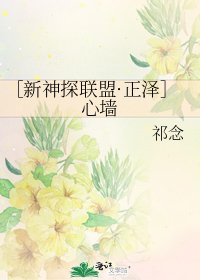 ［新神探联盟·正泽］心墙