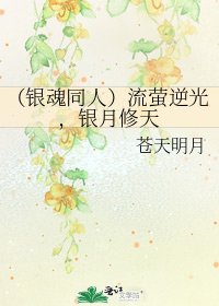 《(银魂同人)流萤逆光,银月修天》