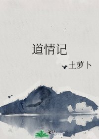 《道情记》